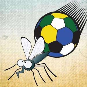 Especialistas temem surto de dengue no Nordeste durante a Copa