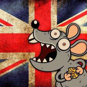 Super ratos invadem residências britânicas